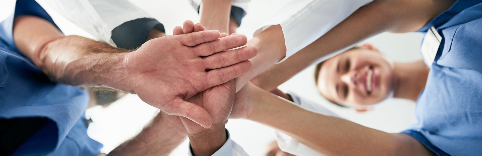 Board-of-Directors-PBTC